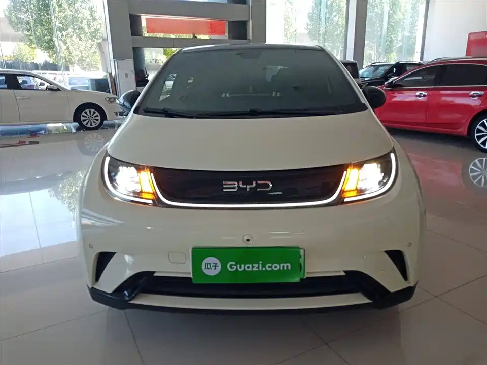 BYD dolphin BYD dolphin