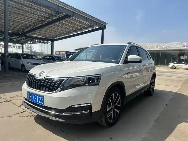 Škoda Kermick 2024 — купить из Китая под заказ