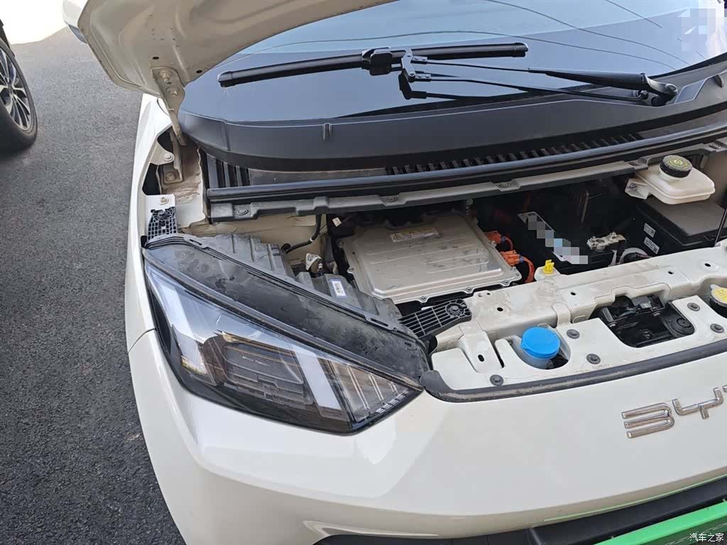 BYD Seagull, 2023 21