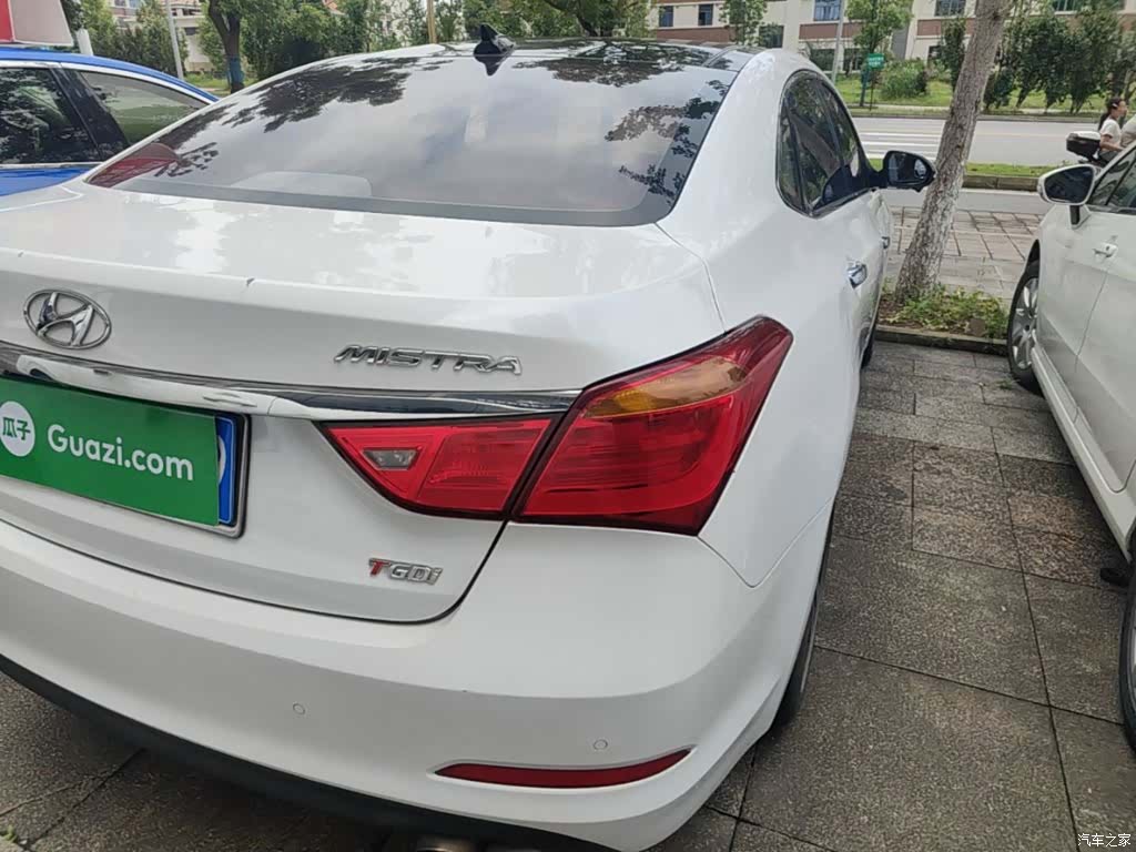 Hyundai GLS, 2017 8