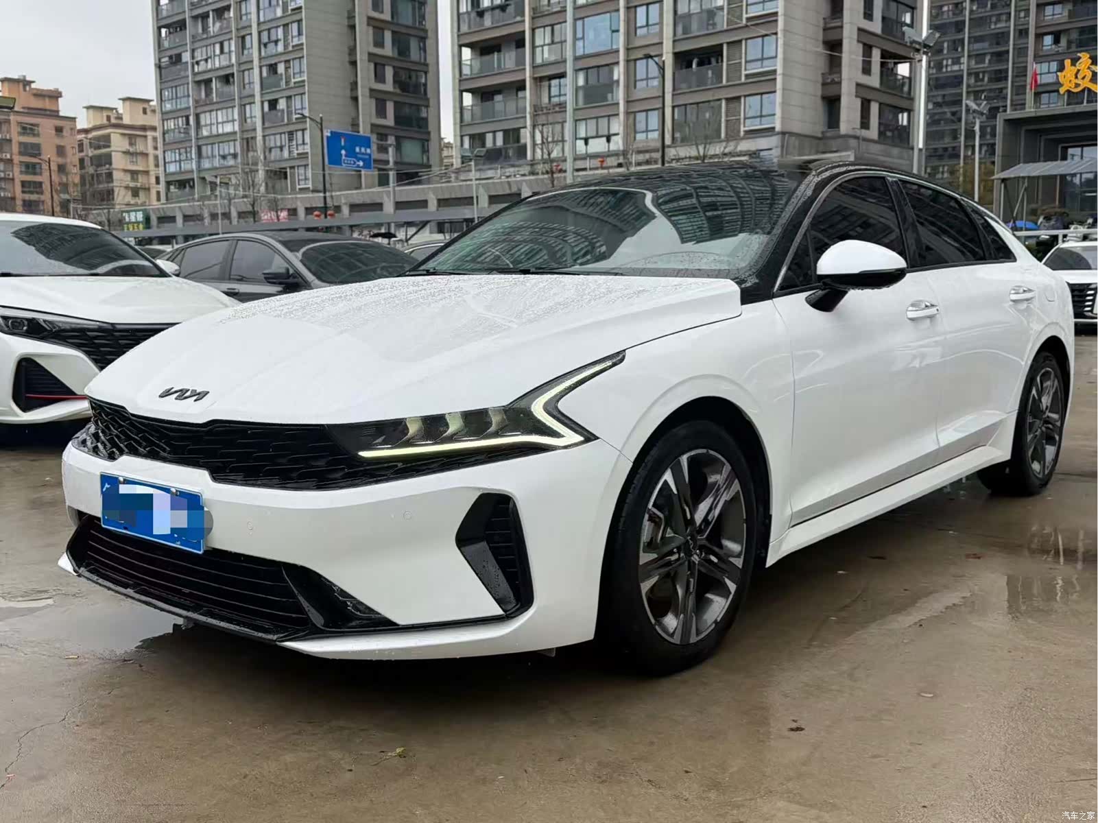 Kia K5, 2022 1