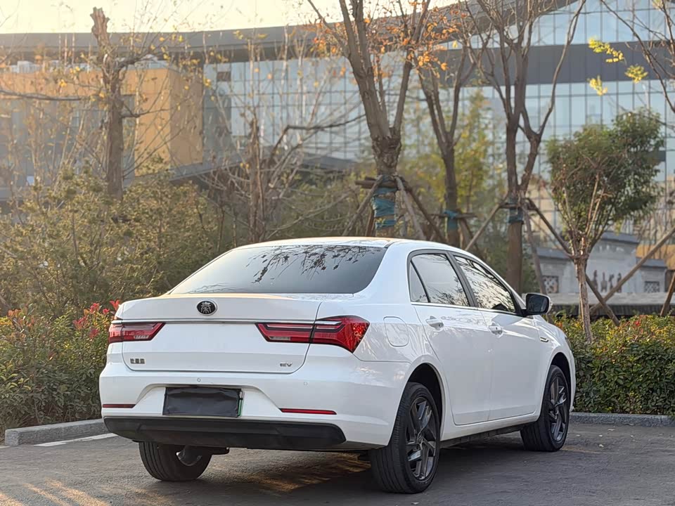 BYD Qinxin Energy