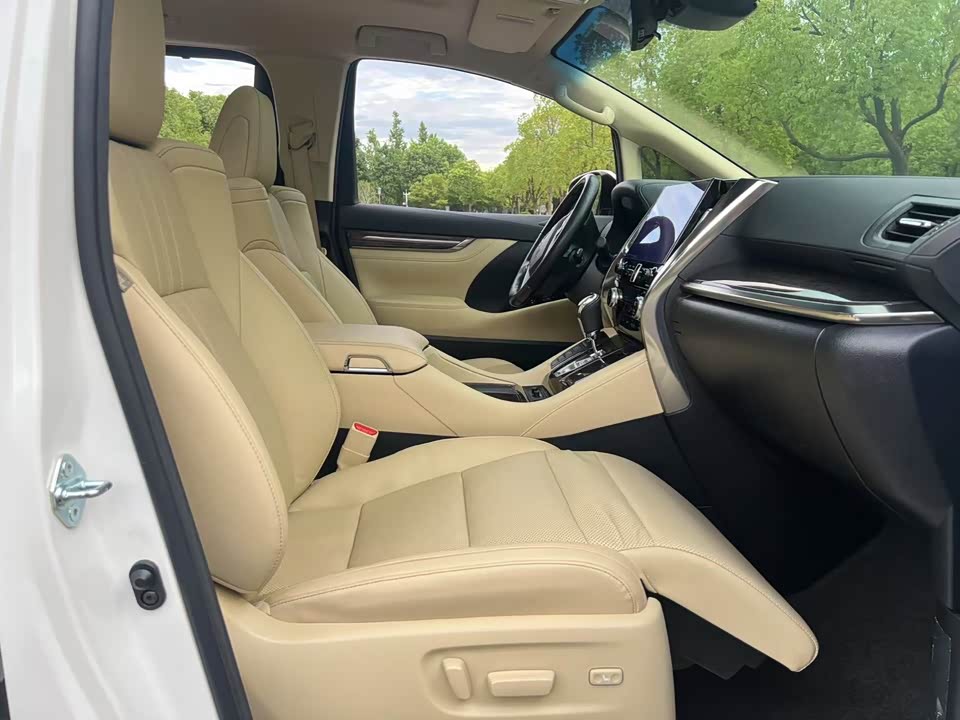 Toyota Elfa
