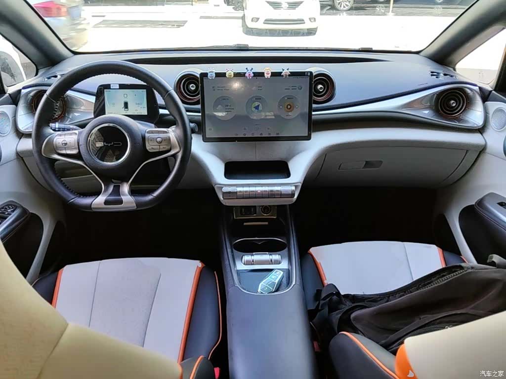 BYD Dolphin, 2023 10