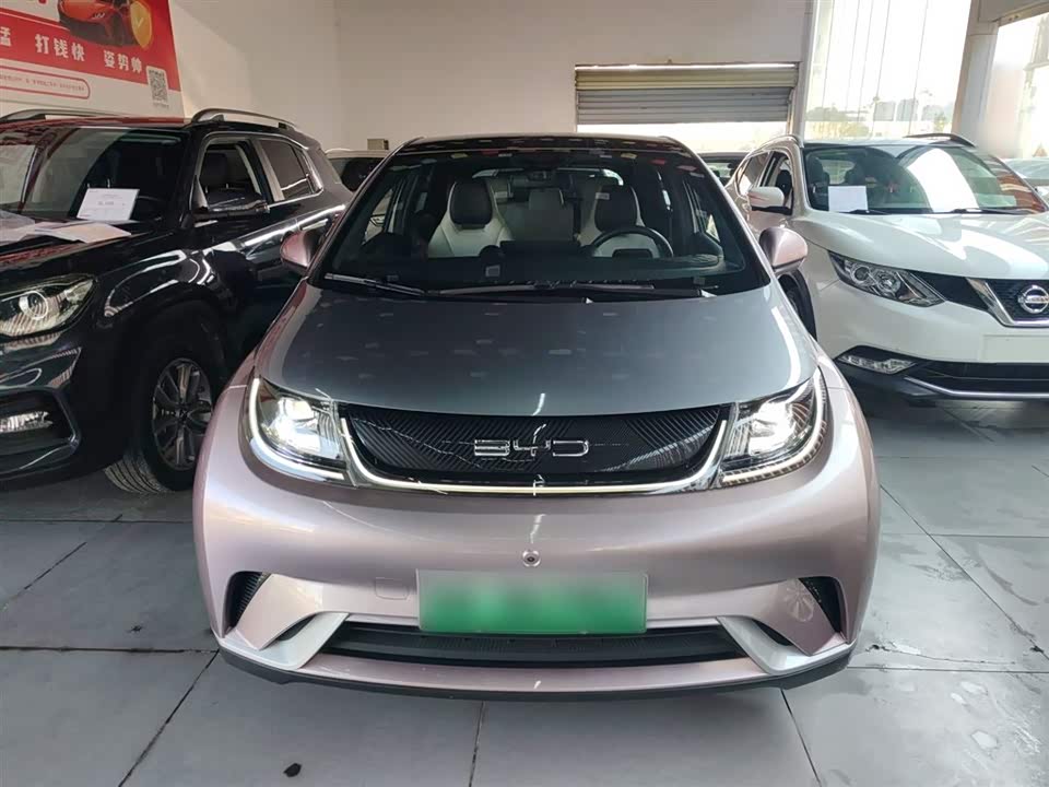 BYD dolphin