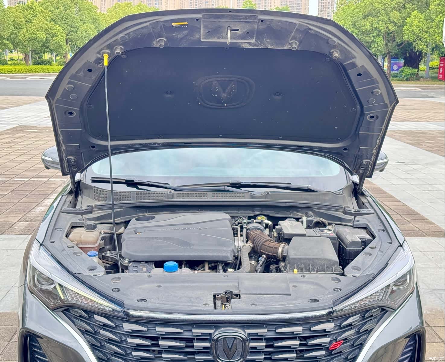 Changan Eado, 2023 22