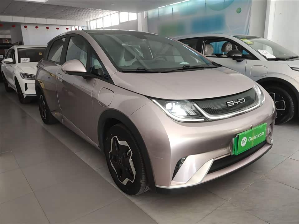 BYD dolphin