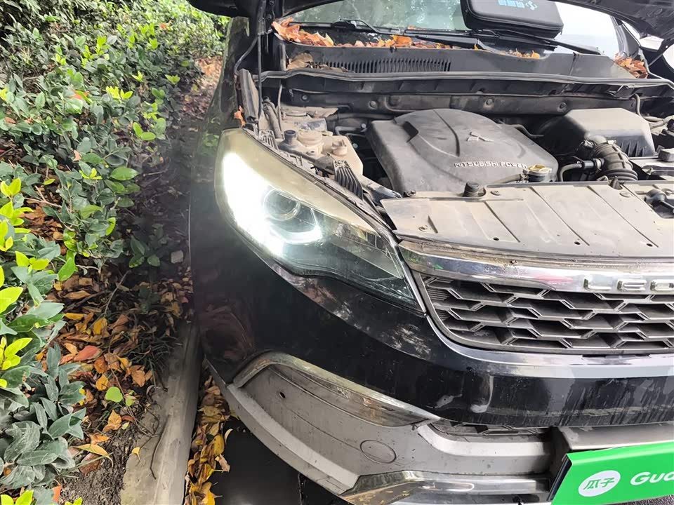 Leopaard Cheetah CS10