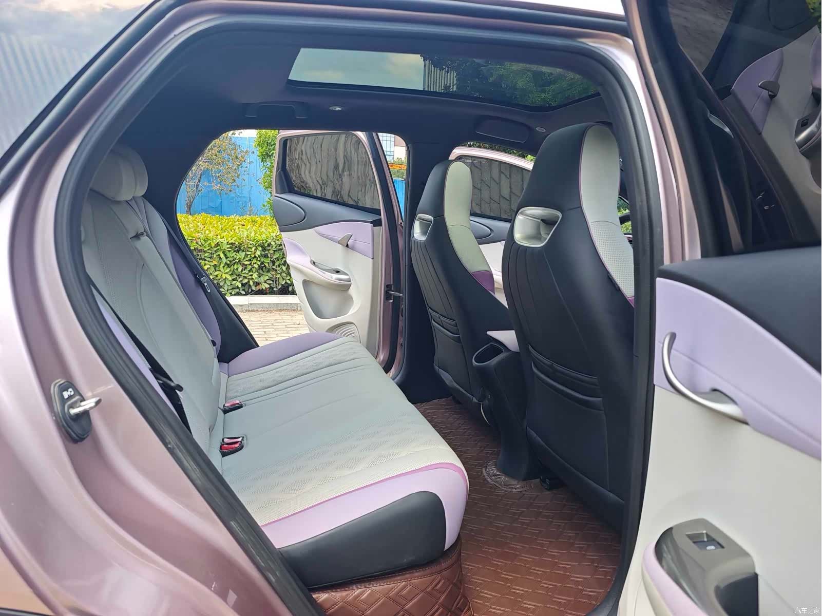 BYD Dolphin, 2024 12