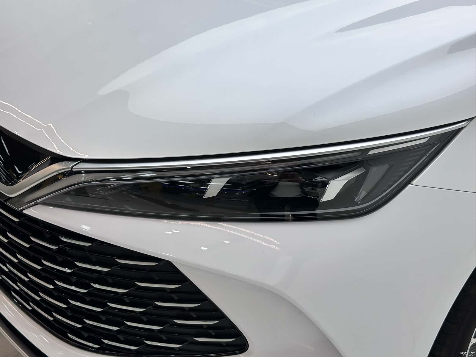 BYD Qin, 2025 все фото