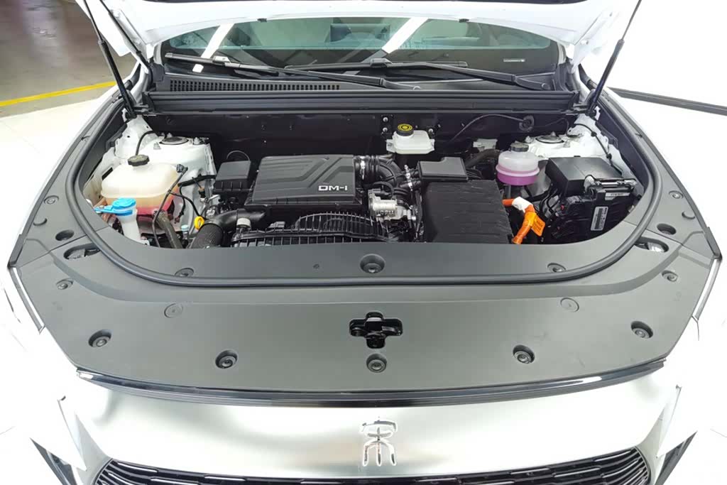 BYD Song, 2024 10