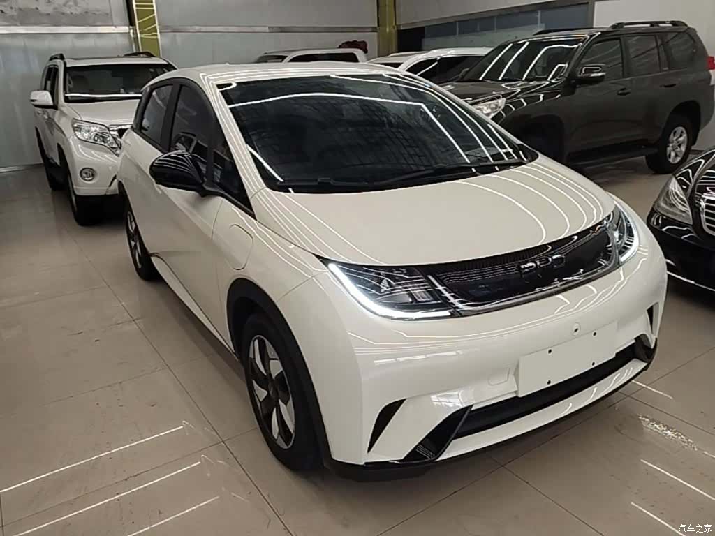 BYD Dolphin, 2024 4