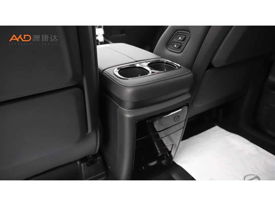 Trumpchi Trumpchi E9