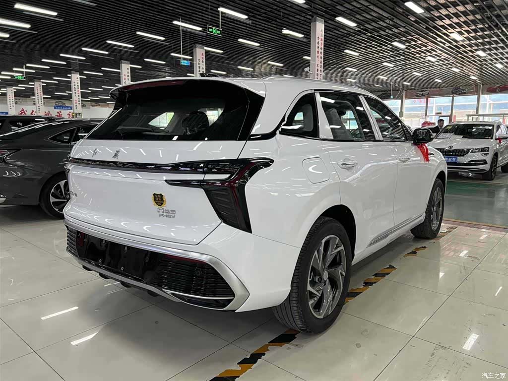 Hongqi HS3, 2024 6