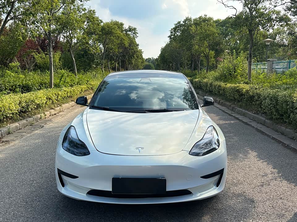 Tesla Model 3 Tesla Model 3