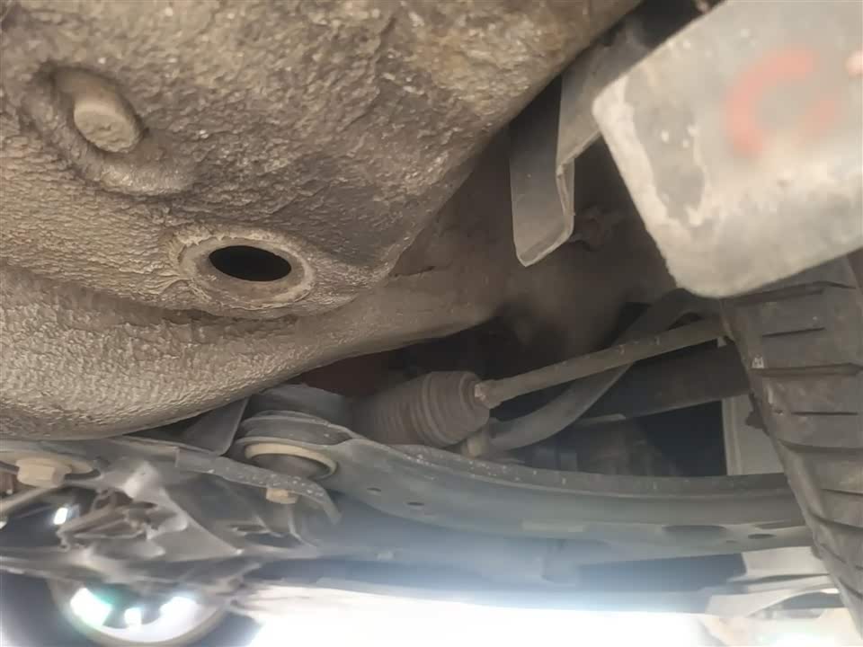 Volkswagen C-TREK Wei Collar