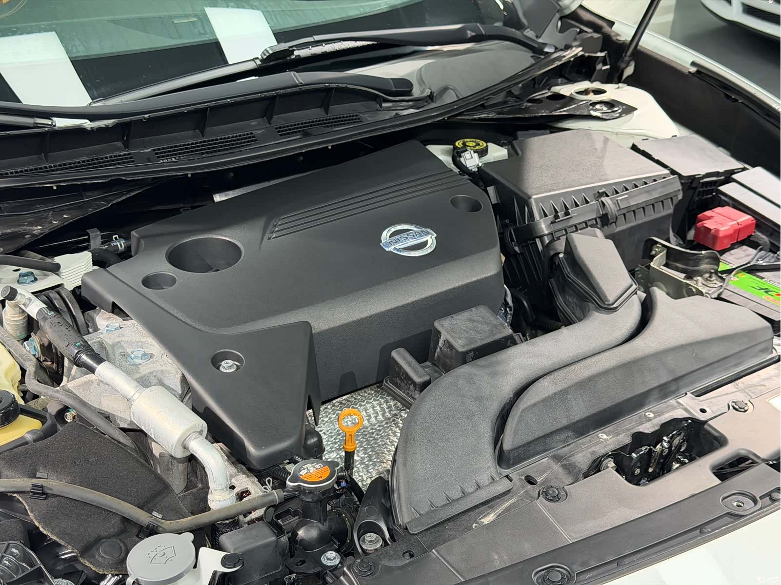 Nissan XL, 2017 18