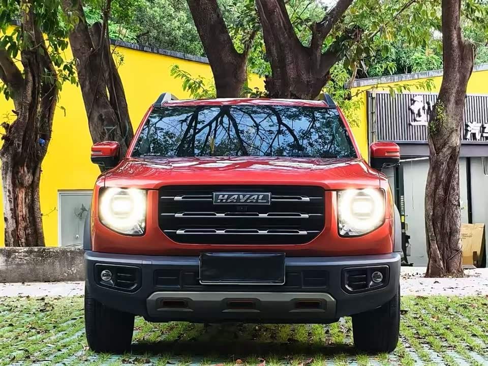 Haval Big dog
