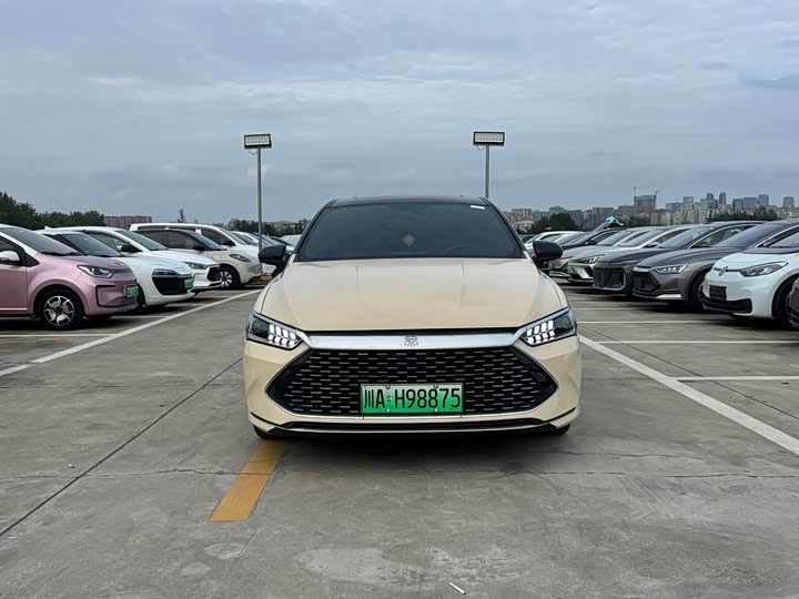 BYD Qin Plus 2021 DM-i 55KM Flagship