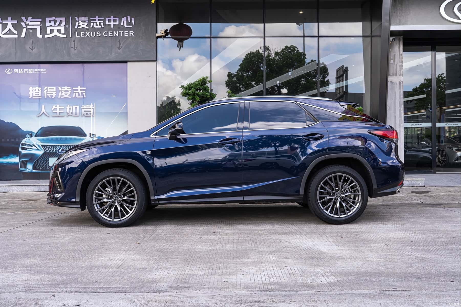 Lexus RX, 2021 все фото