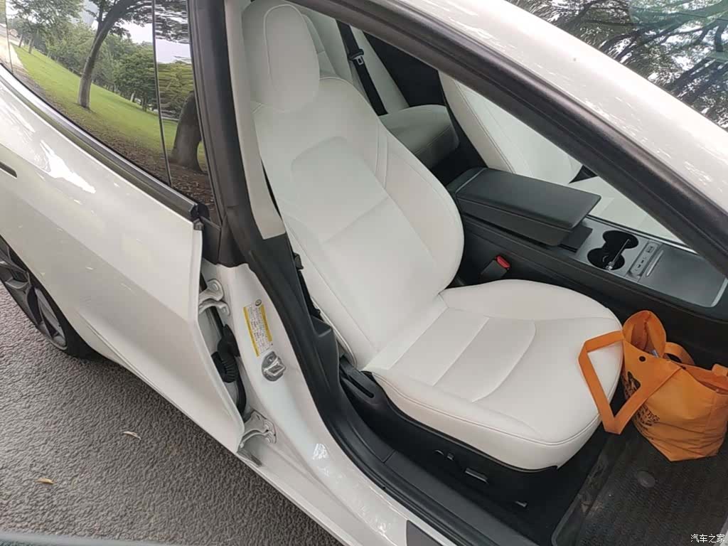 Tesla Model 3, 2021 25