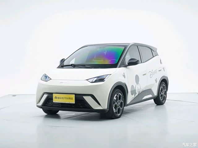 BYD Seagull, 2024 1