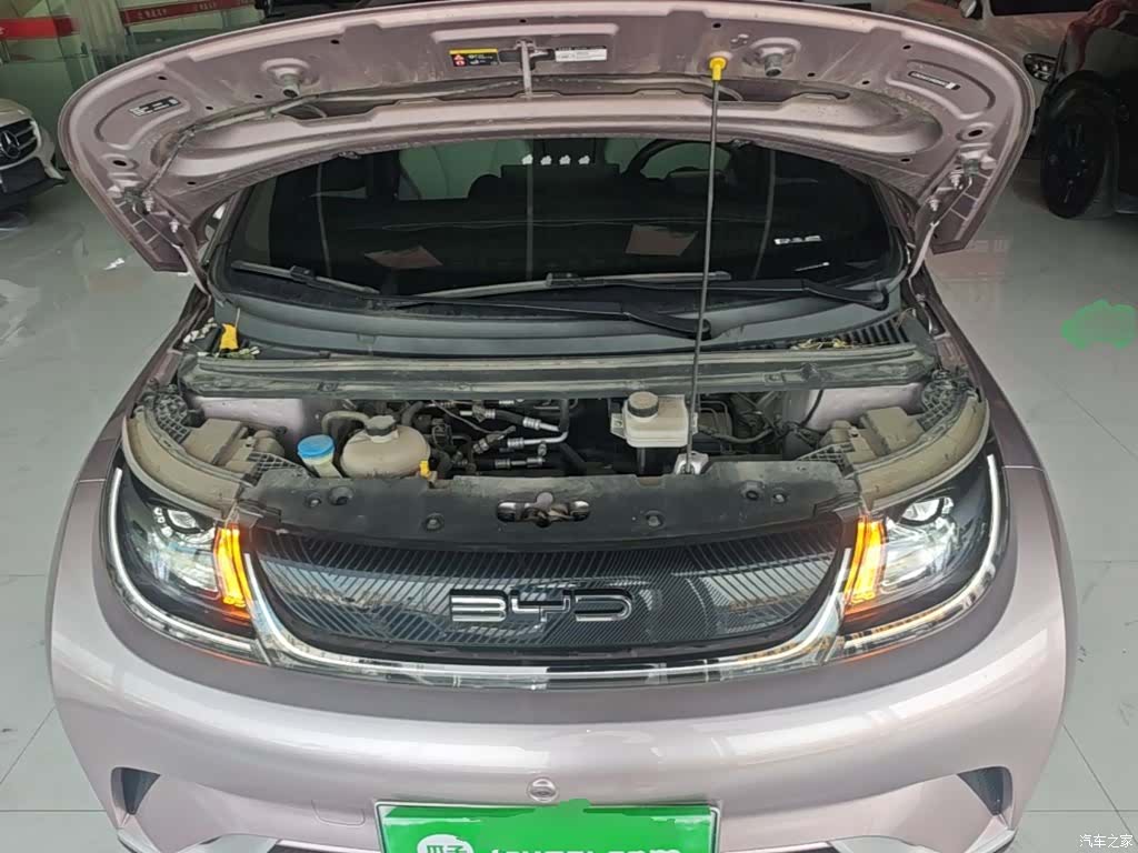 BYD Dolphin, 2022 20