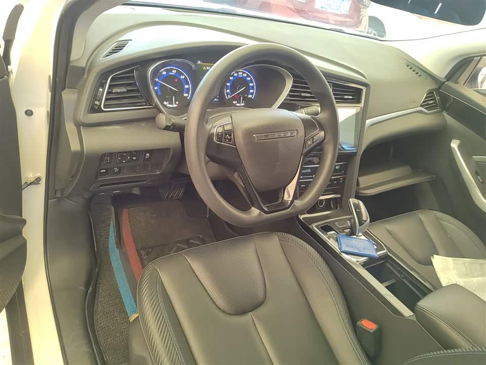 Venucia D60EV Venucia D60EV