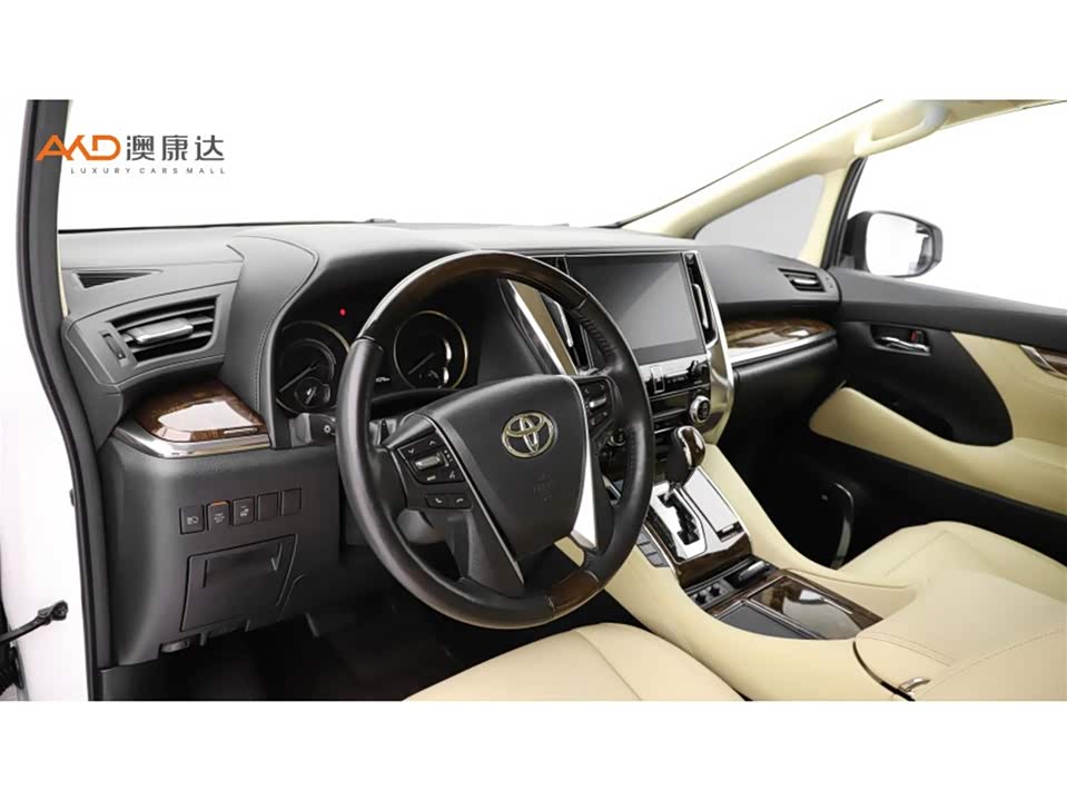 Toyota Elfa