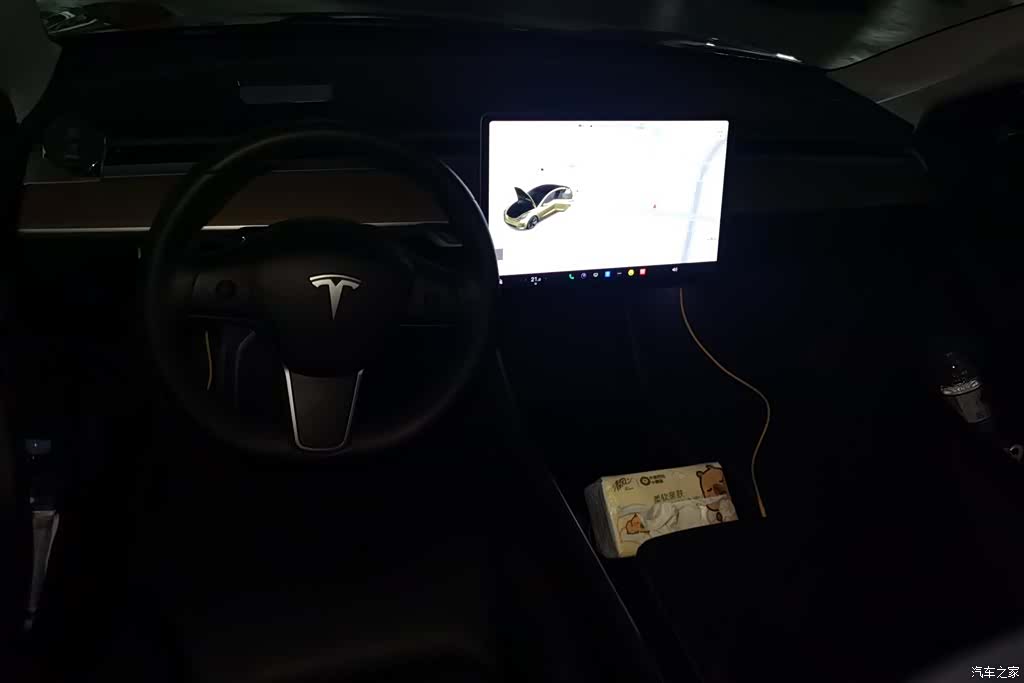 Tesla Model 3, 2020 12