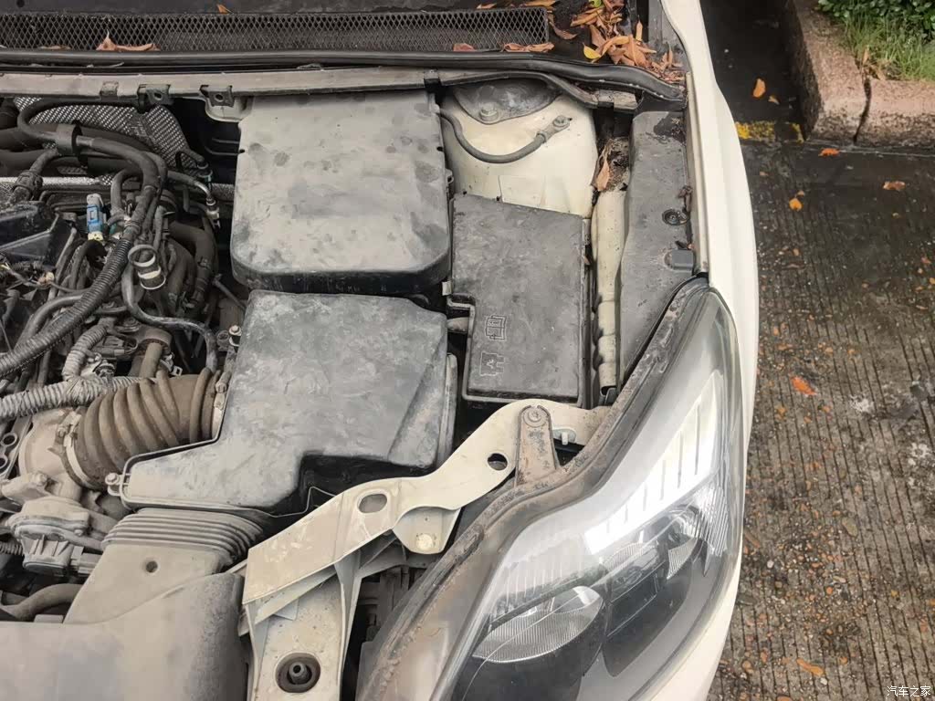 Ford Focus, 2014 24