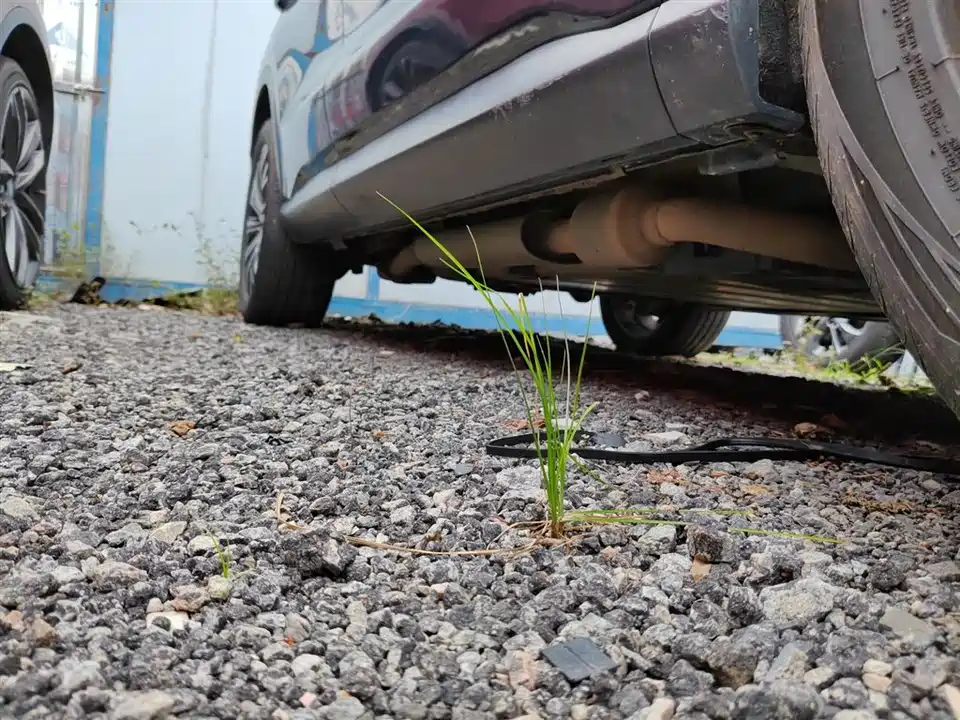 BYD Songjiang