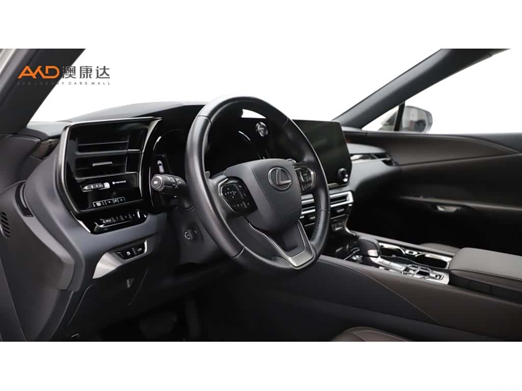Lexus RX, 2023 6