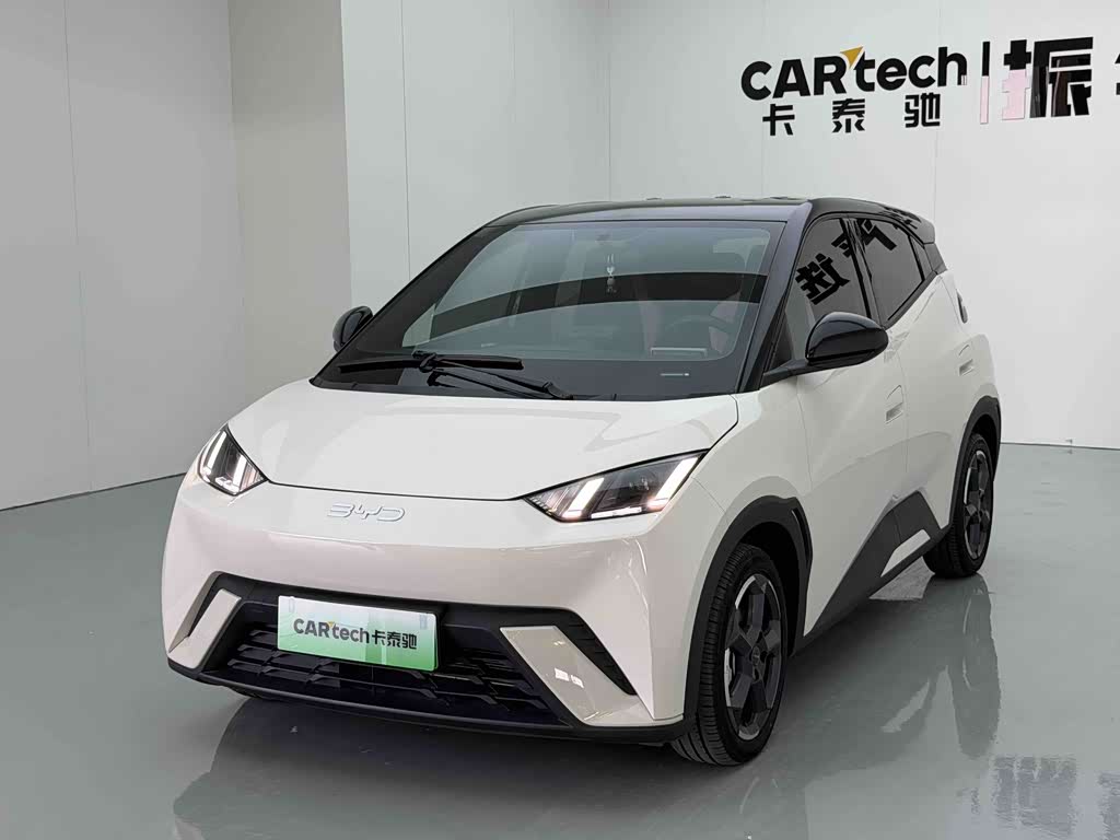 BYD Seagull