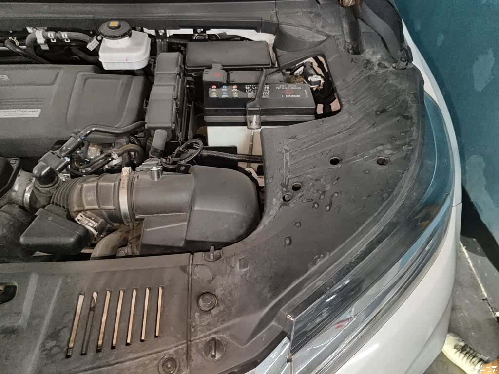 Honda Avancier, 2024 22