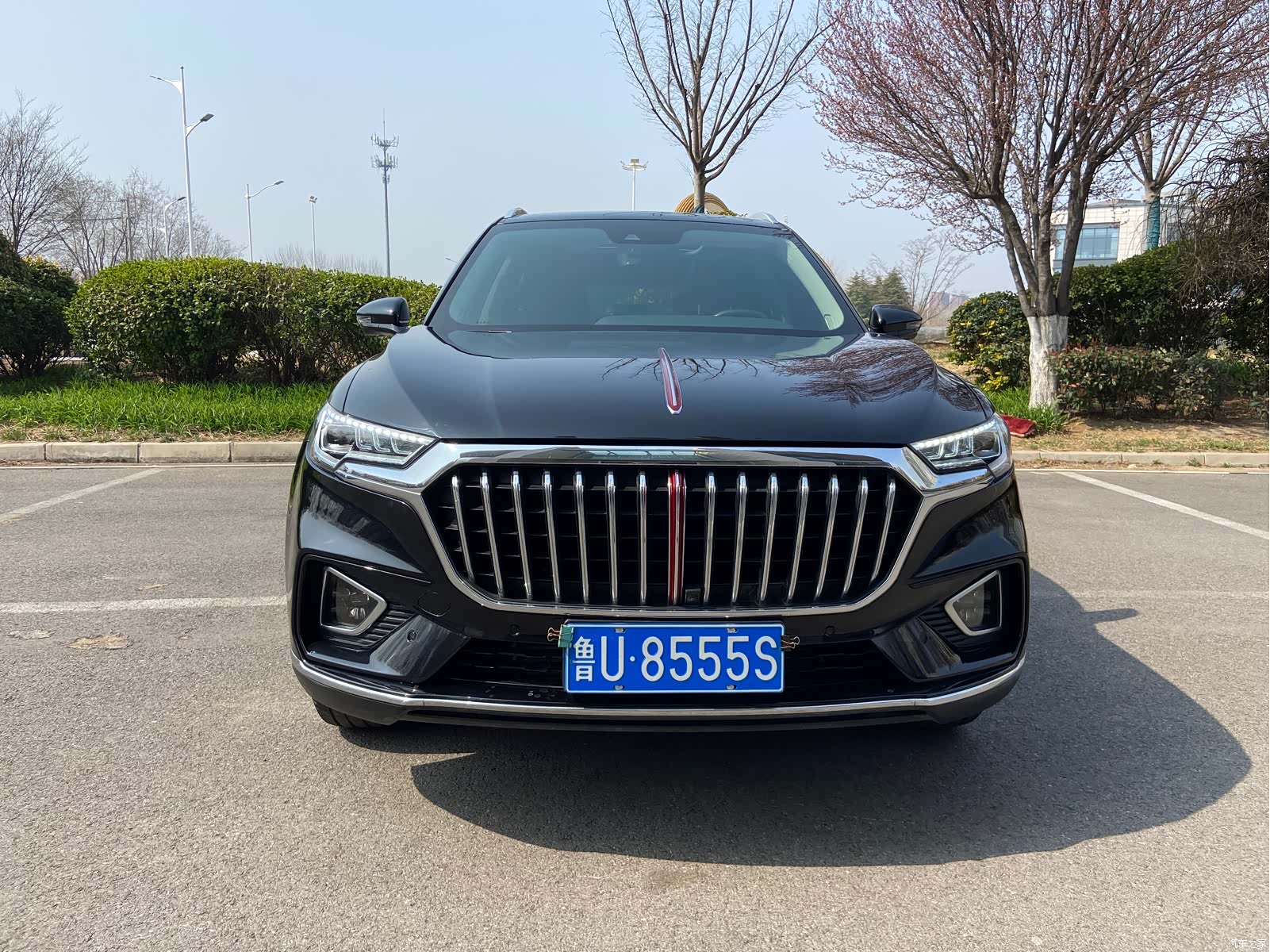 Hongqi HS5, 2020 8