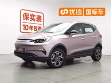 ԪPro 2023�� 401KM�����