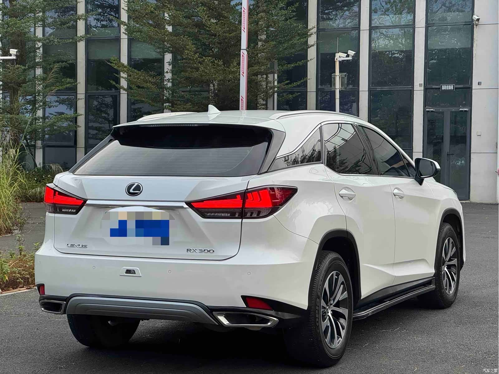 Lexus RX, 2022 8