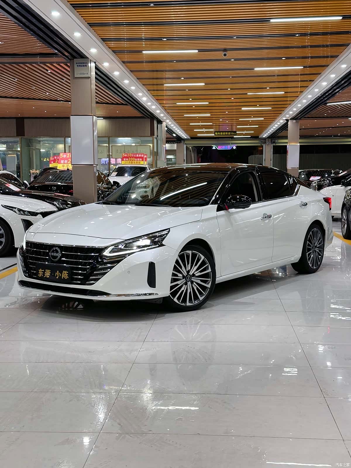 Nissan Teana, 2023 11