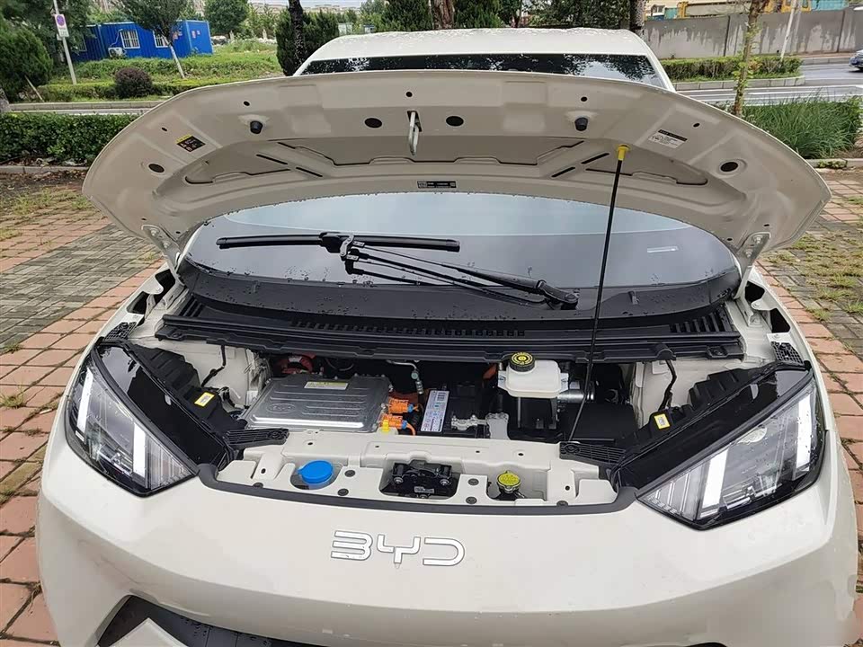 BYD Seagull
