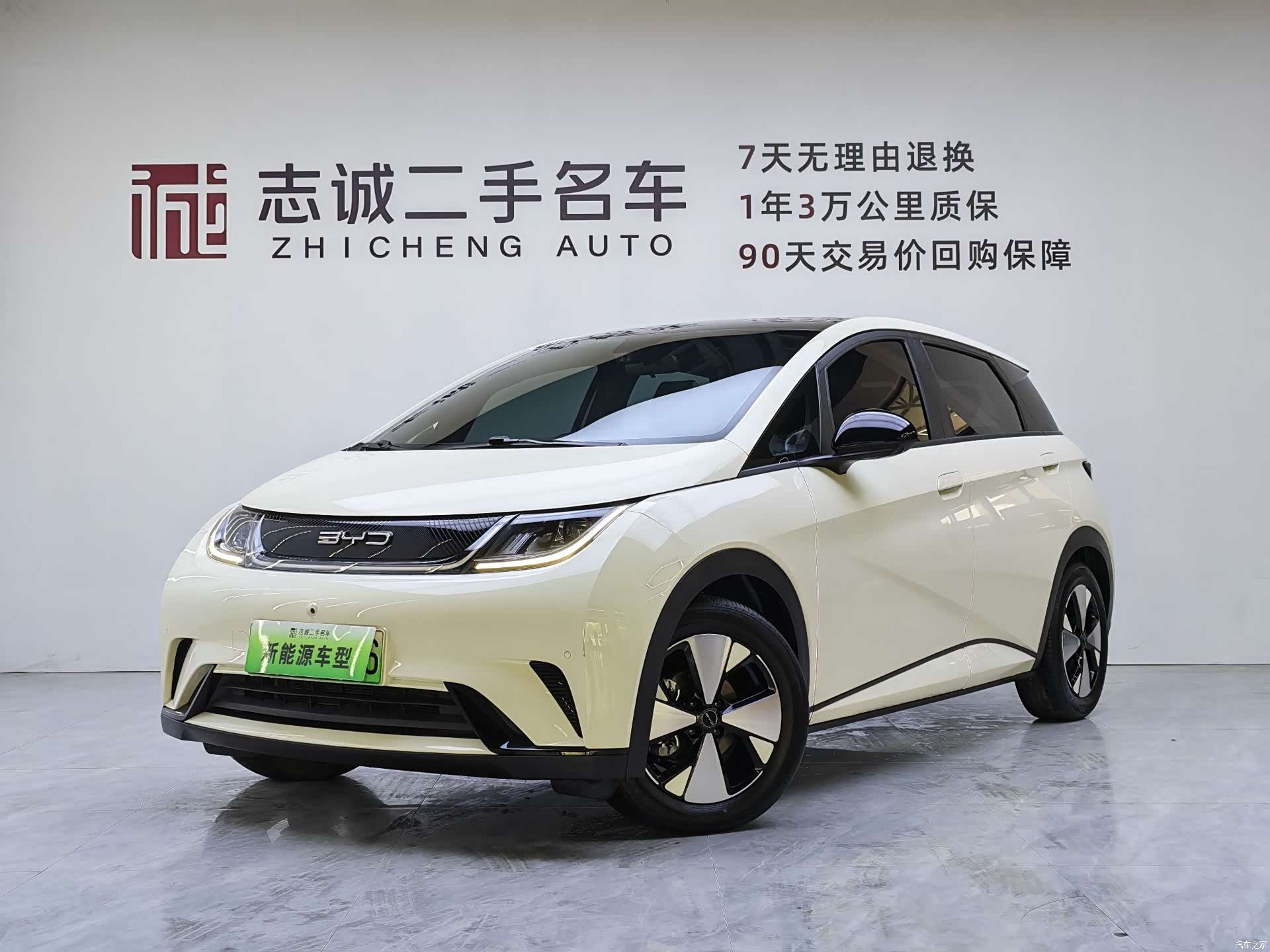 BYD Dolphin