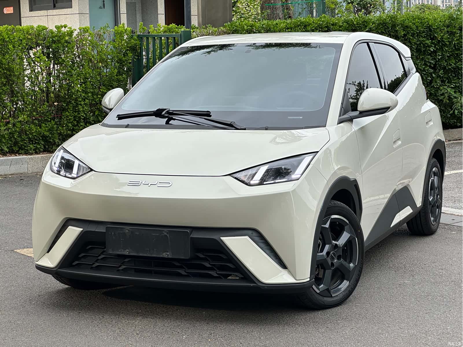 BYD Seagull, 2023 3