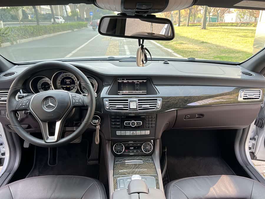 Mercedes-Benz CLS-Class 2013, фото 6