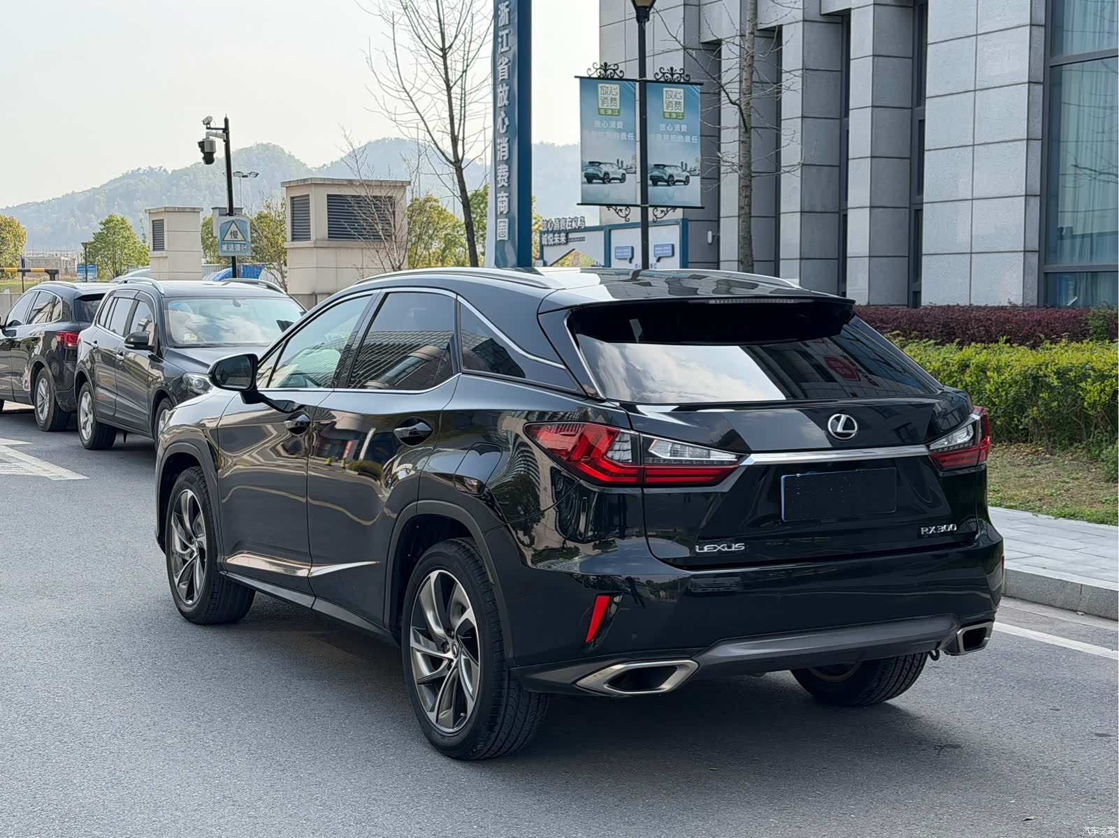 Lexus RX, 2018 7