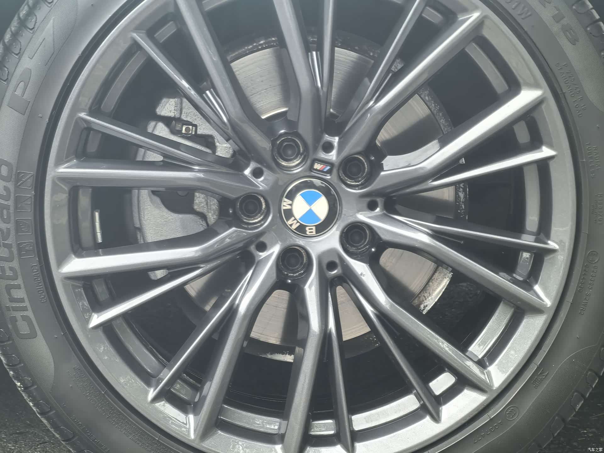 BMW 3 Series, 2021 все фото