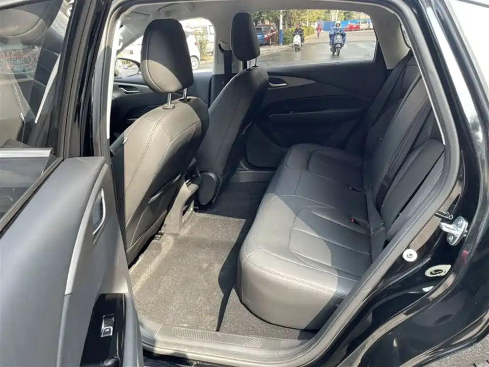 Wuling Wuling Starlight