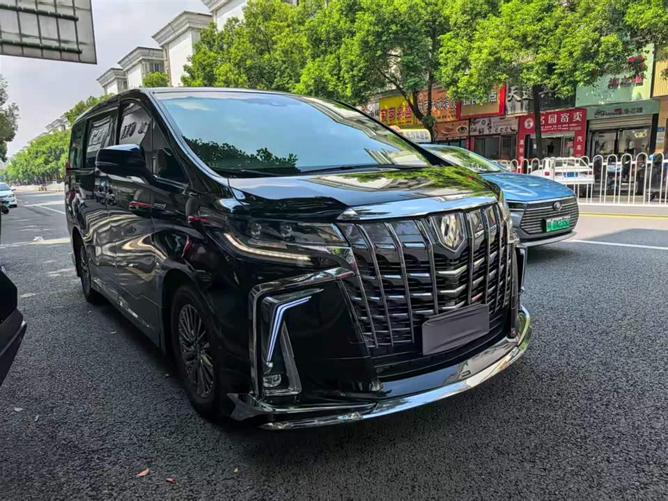 Toyota Elfa