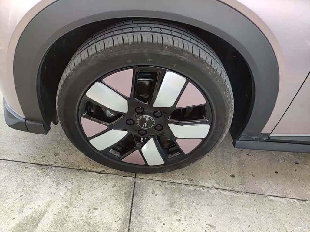 BYD Dolphin, 2024 25
