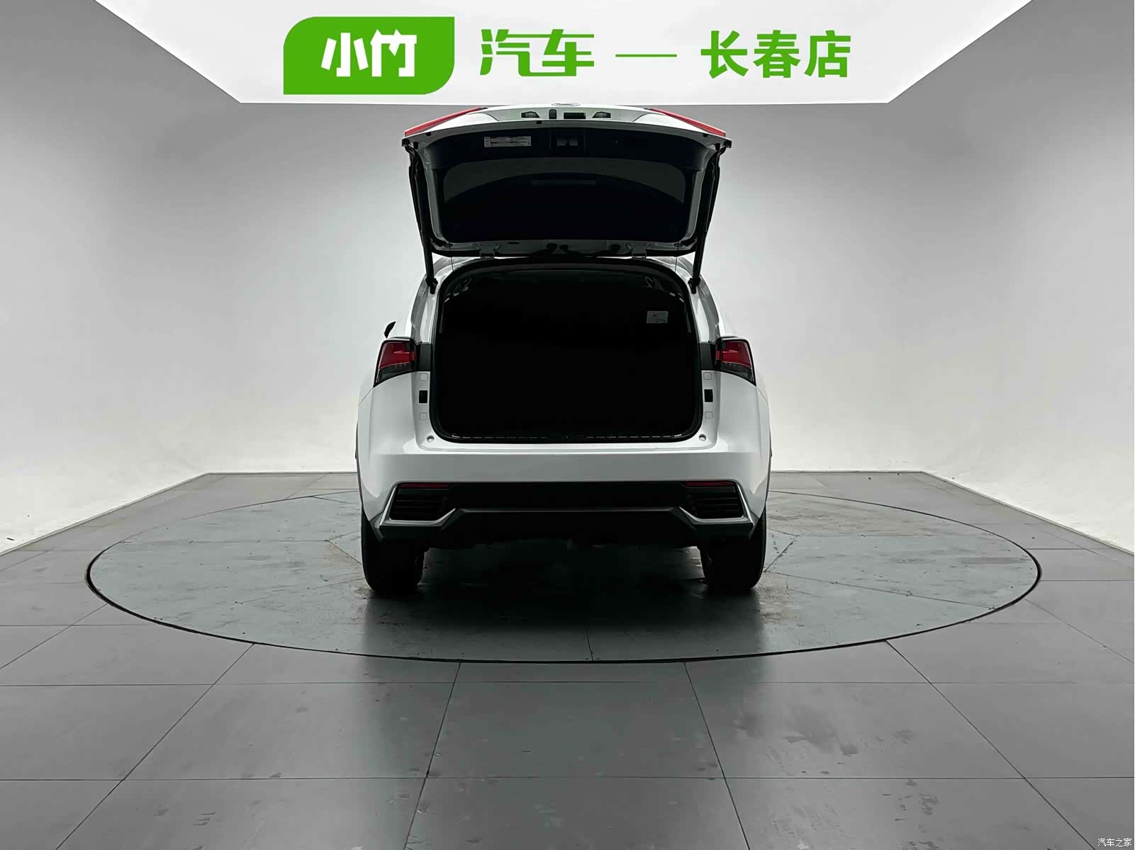 Lexus NX, 2021 все фото