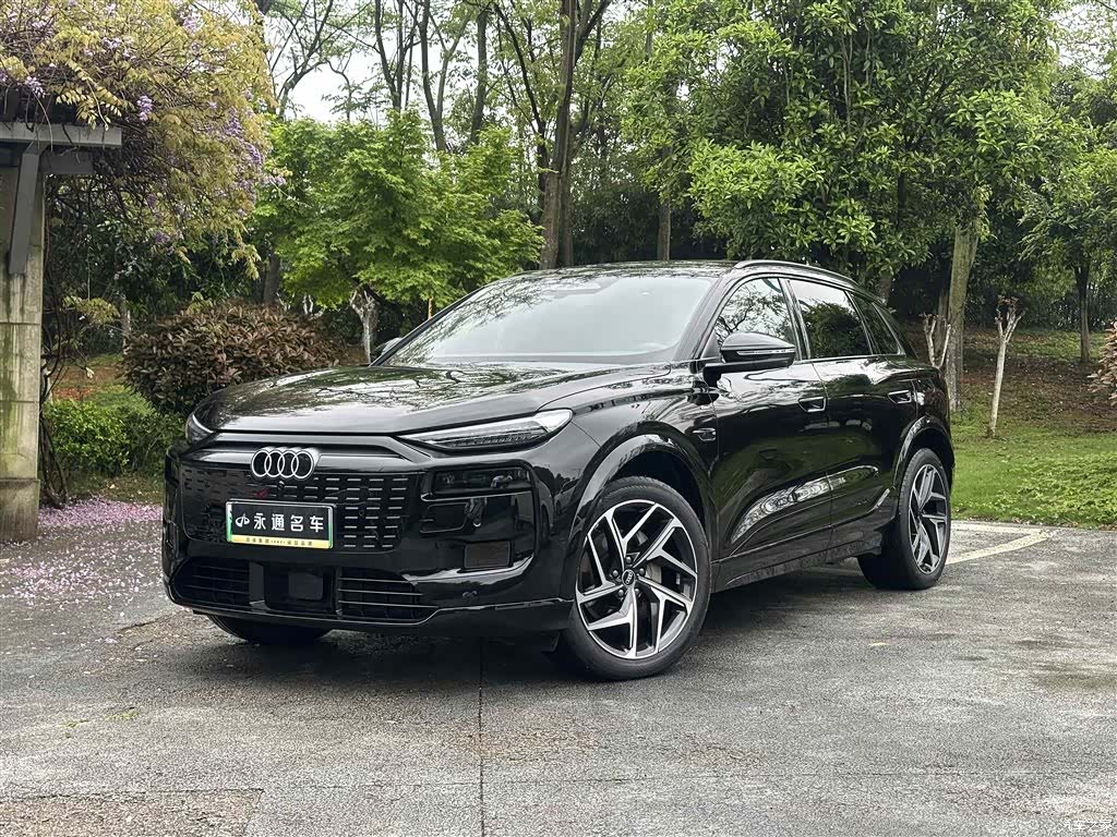 Audi e-tron, 2025 1